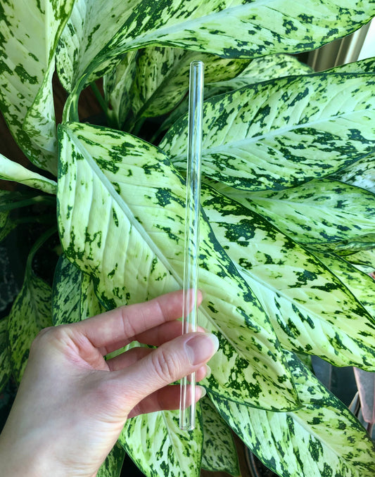 Glass straw