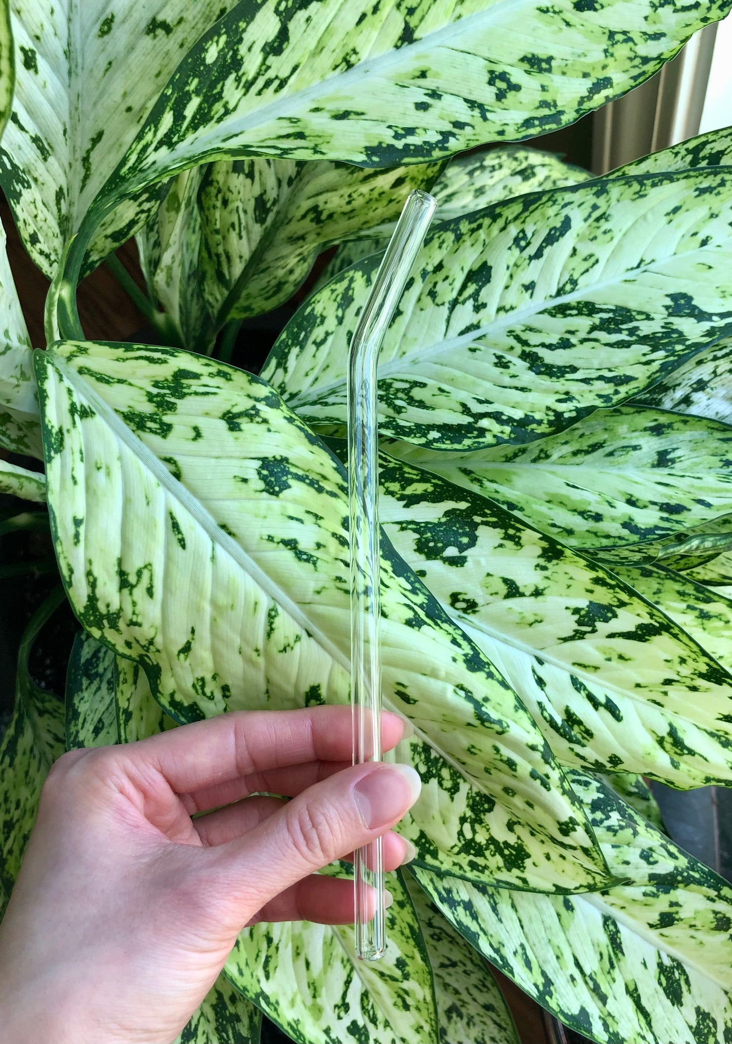 Glass straw